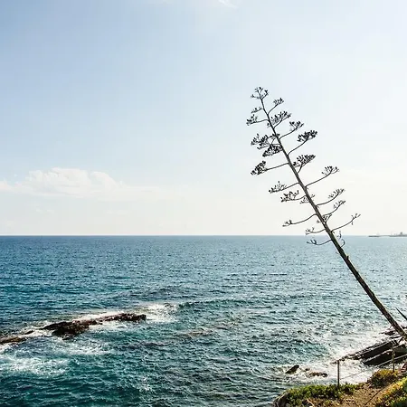 Dream By The Sea