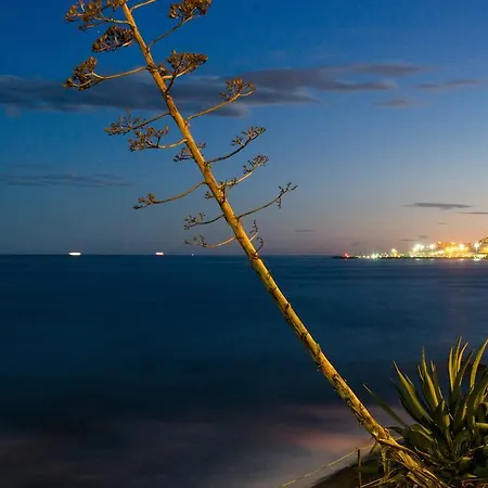 Dream By The Sea